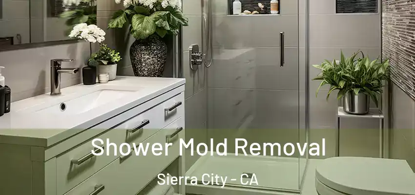  Shower Mold Removal Sierra City - CA