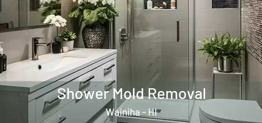  Shower Mold Removal Wainiha - HI