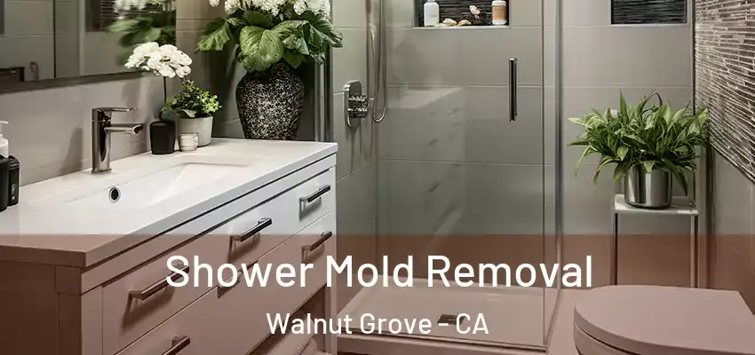 Shower Mold Removal Walnut Grove - CA