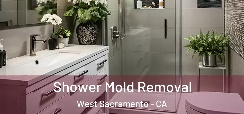 Shower Mold Removal West Sacramento - CA