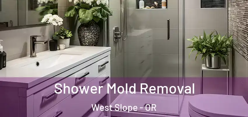  Shower Mold Removal West Slope - OR