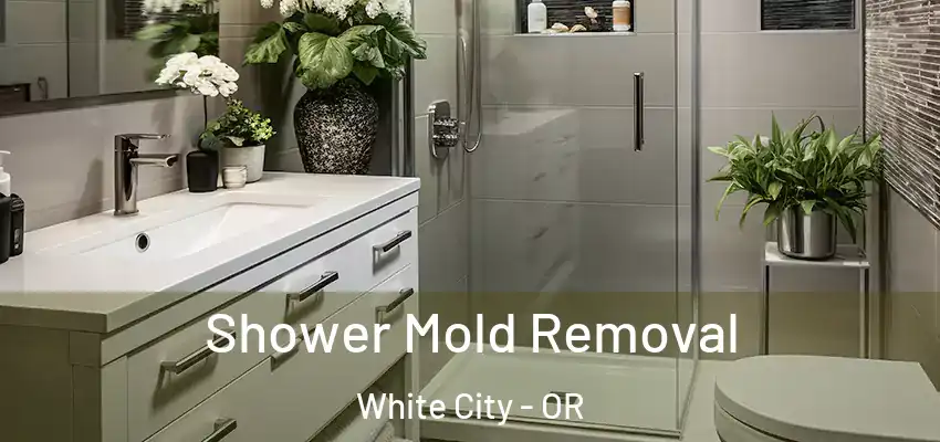  Shower Mold Removal White City - OR