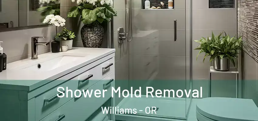  Shower Mold Removal Williams - OR
